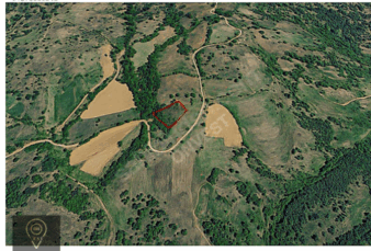 OnVest’ten KIRKLARELİ KUZULU’DA YOLA YAKIN 3.410m² SATILIK TARLA OnVest’ten KIRKLARELİ KUZULU’DA YOLA YAKIN 3.410m² SATILIK TARLA