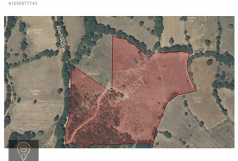 OnVest’ten BALIKESİR KEPSUT’TA KÖYE YAKIN 17532m² SATILIK TARLA OnVest’ten BALIKESİR KEPSUT’TA KÖYE YAKIN 17532m² SATILIK TARLA